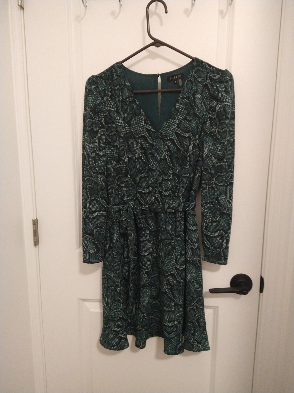 1. State Teal Green Printed V-Neck Long Sleeve Dress